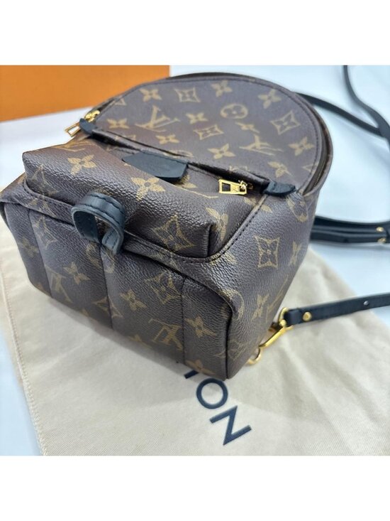 Louis Vuitton Palm Springs Mini Backpack Monogram main image 12